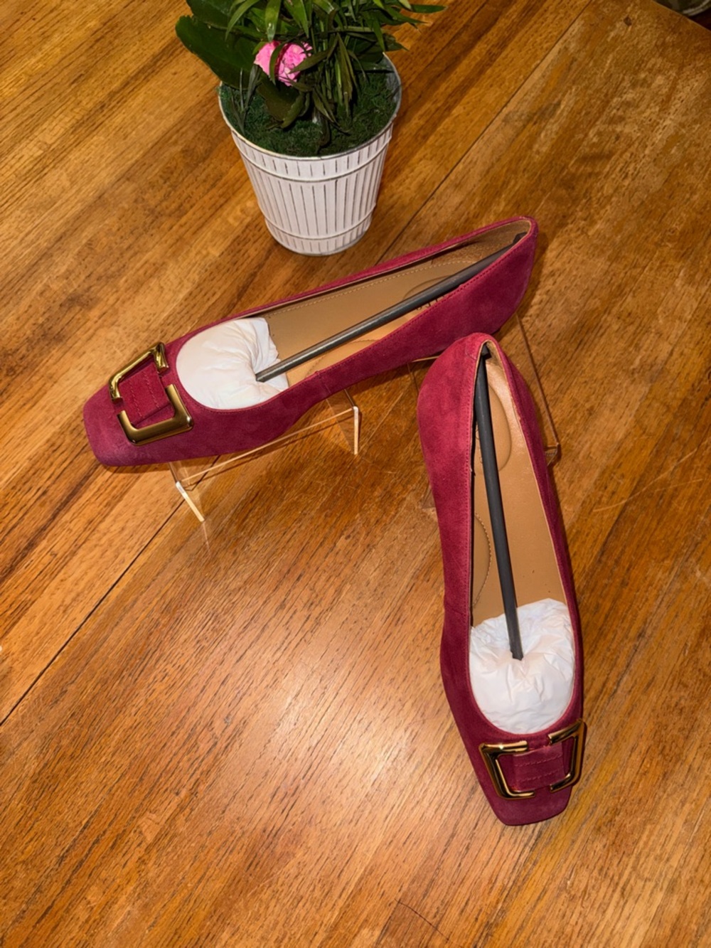 Women’s Suede Burgundy Square-Toe Flats with Gold Buckle